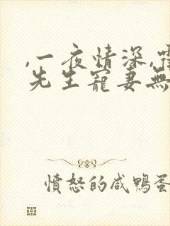 ,一夜情深,霍先生宠妻无度