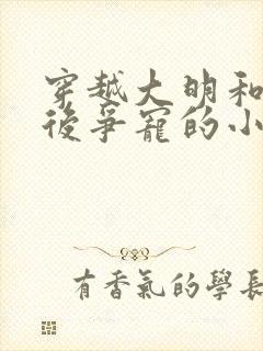 穿越大明和马皇后争宠的小说