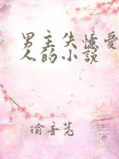 男主失忆爱上别人的小说