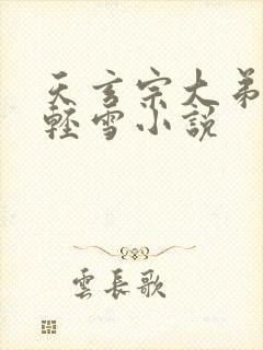 天玄宗大弟子叶轻雪小说