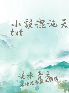 小说混沌天帝诀txt