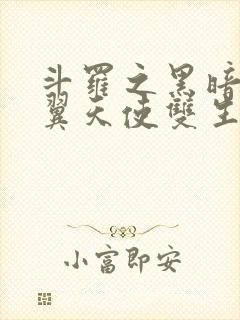 斗罗之黑暗十二翼天使双生武魂