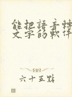 能把语音转换成文字的软件