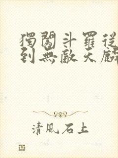 独闯斗罗从穿越到无敌天麟的小说