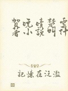 贺晚晴楚云深原著小说叫什么名字