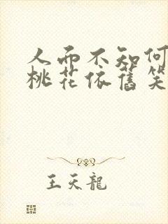 人面不知何处去桃花依旧笑春风表达了什么