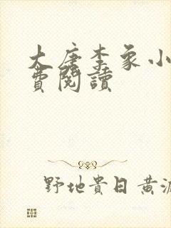 大唐李象小说免费阅读