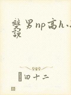 双男np高h小说