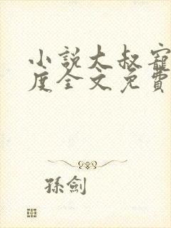 小说大叔宠妻无度全文免费