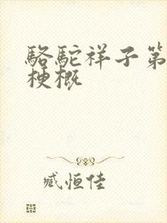 骆驼祥子第8章梗概