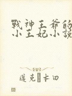 战神王爷的调皮小王妃小说