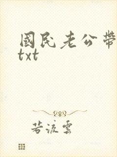 国民老公带回家txt