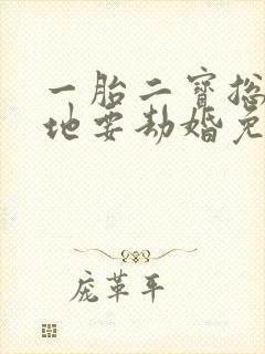 一胎二宝总裁爹地要劫婚免费阅读