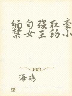 缅甸强取豪夺囚禁女主的小说