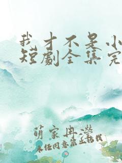 我才不是小可怜短剧全集完整版