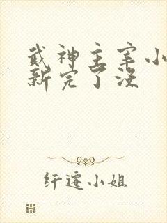 武神主宰小说更新完了没