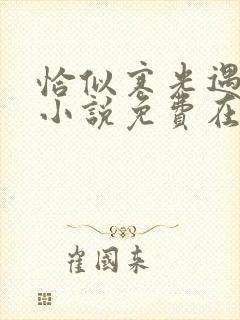 恰似寒光遇骄阳小说免费在线听