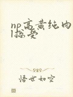 np高黄纯肉bl总受