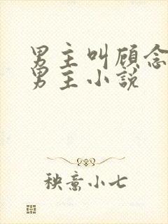 男主叫顾念的双男主小说