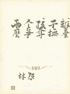 两个孩子离婚怎么争夺抚养权