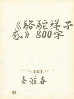 《骆驼祥子读后感》800字