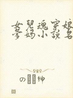 女儿魂穿娘,爹爹妈小说名字