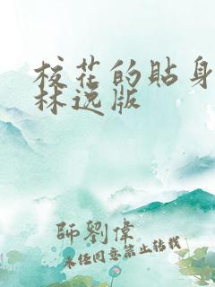 校花的贴身高手林逸版