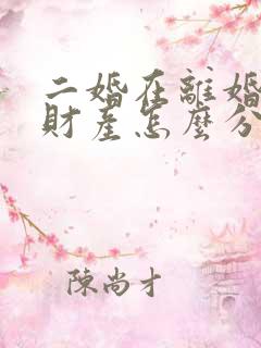 二婚在离婚婚后财产怎么分