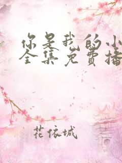 你是我的小美好全集免费播放