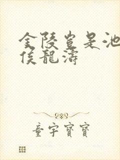 金陵岂是池中物侯龙涛