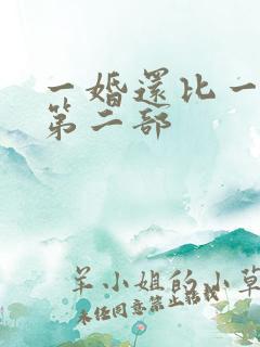 一婚还比一婚高第二部