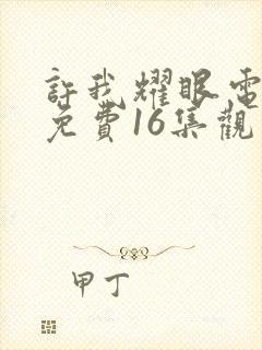 许我耀眼电视剧免费16集观看