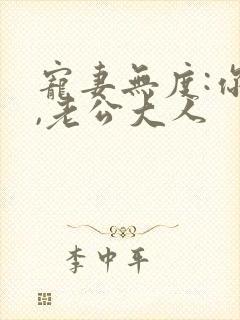 宠妻无度:你好,老公大人