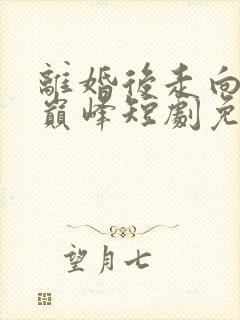 离婚后走向人生巅峰短剧免费观看