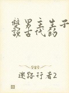 双男主生子文小说古代的