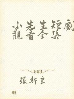 小先生短剧免费观看全集