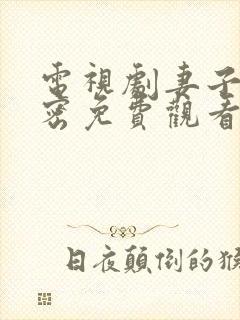 电视剧妻子的秘密免费观看全集