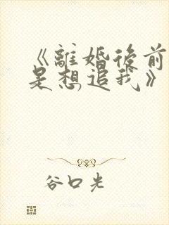 《离婚后前夫总是想追我》