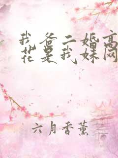 我爸二婚高冷校花是我妹网剧