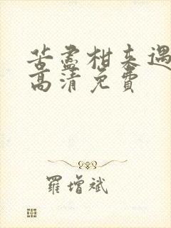 苦尽柑来遇见你高清免费