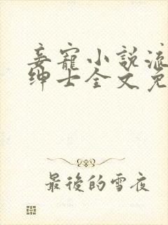 妾宠小说流浪的绅士全文免费阅读