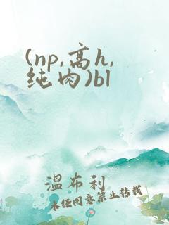 (np,高h,纯肉)bl