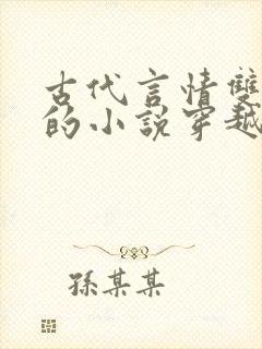 古代言情双男主的小说穿越