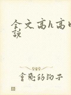 全文高h高肉小说