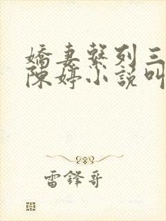 娇妻系列三部曲陈婷小说叫什么名字