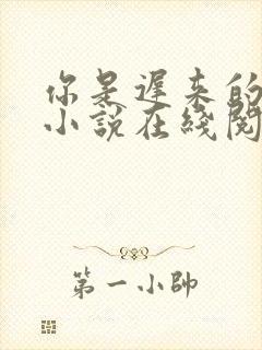 你是迟来的欢喜小说在线阅读