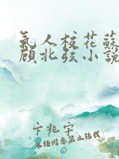 气人校花苏o,顾北弦小说免费阅读