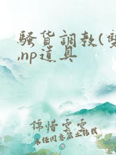 骚货调教(双性,np道具