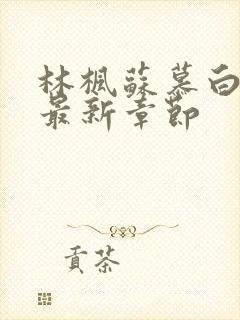 林枫苏慕白穿越最新章节