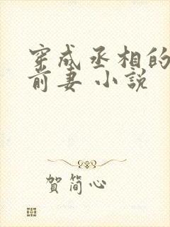 穿成丞相的炮灰前妻 小说